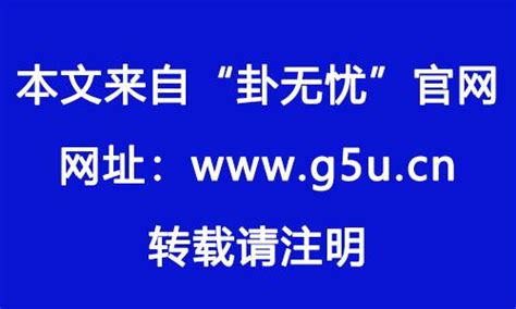 2025兔年運程1987|1987年属兔2025年的运势及运程详解